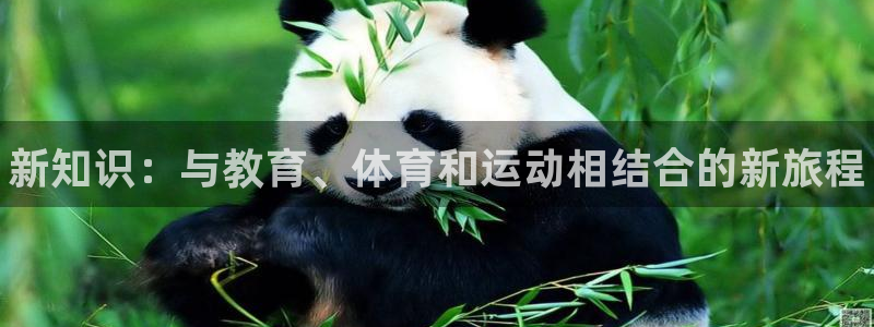 MK体育官网下载平台注册要钱吗:新知识:与教育、体育和运动相