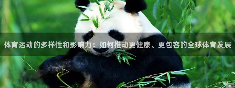 MK体育官方正版app代理:体育运动的多样性和影响力:如何推