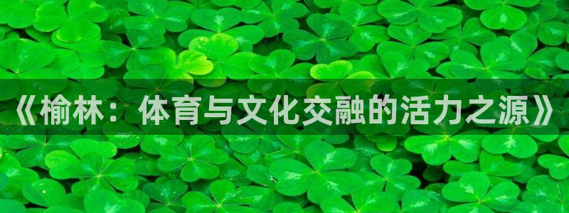 MK体育官方正版app官方:《榆林:体育与文化交融的活力之源